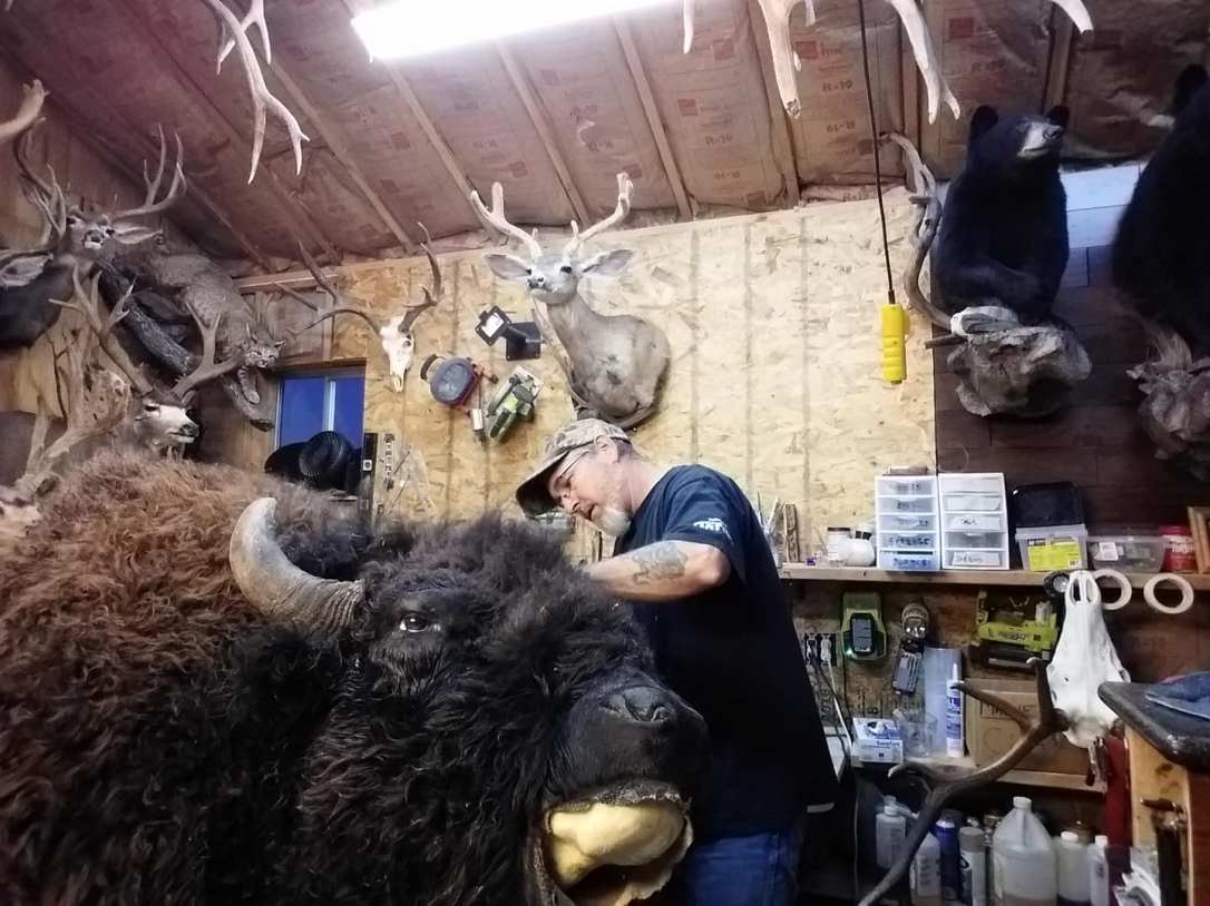 48356379_2144272672259905_7871162220057460736_o